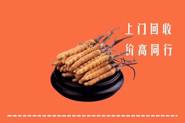 高价求购：石家庄回收散虫草