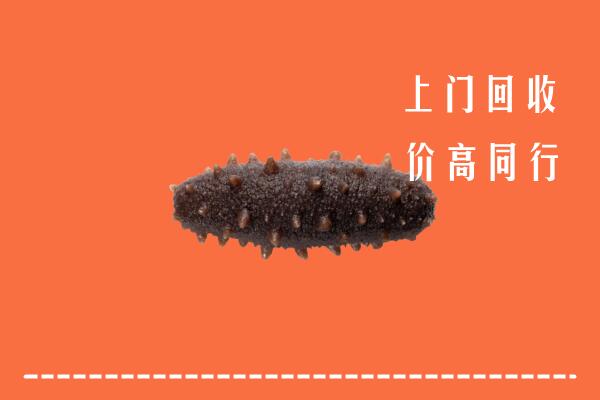 石家庄回收海参