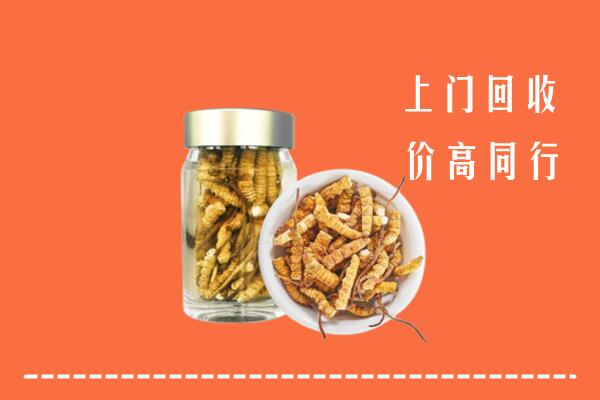 石家庄回收冬虫夏草